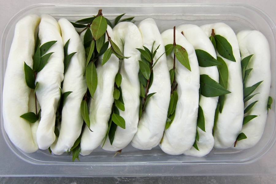 Mozzarella nella Mortella - tour gastronomico